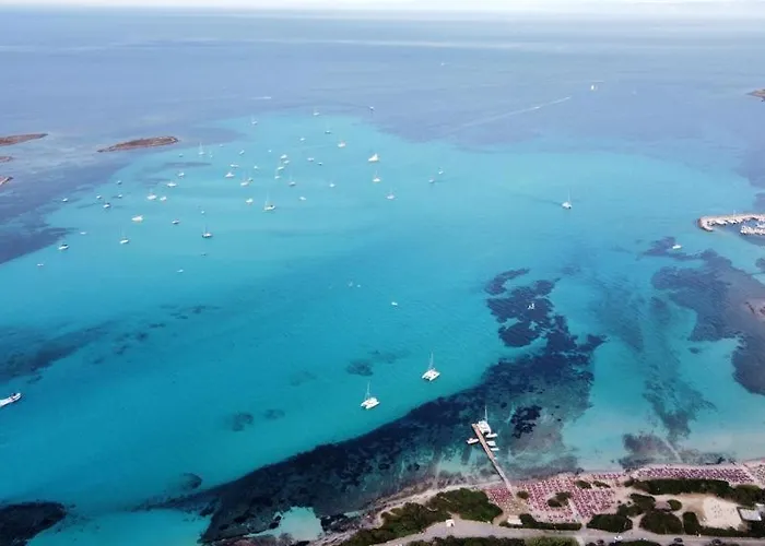 公寓 La Finestra Sulla Torre 斯廷蒂诺